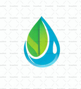 Wassertropfen und Blatt